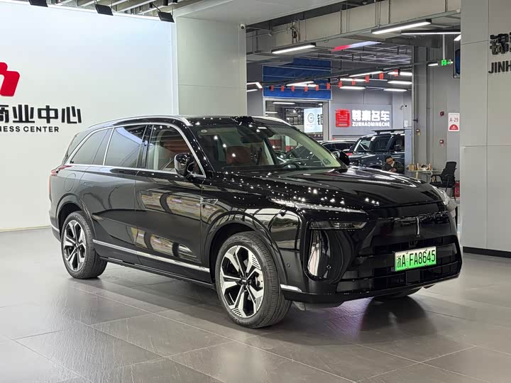 Фото 3 - Wey Lanshan