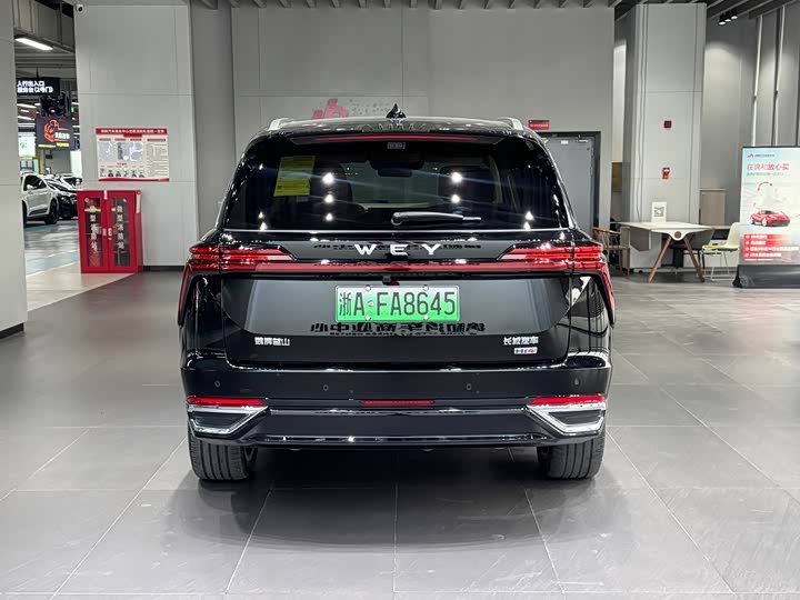 Фото 6 - Wey Lanshan