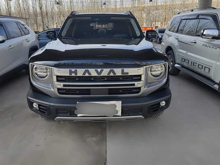 Фото 2 - Haval Dargo