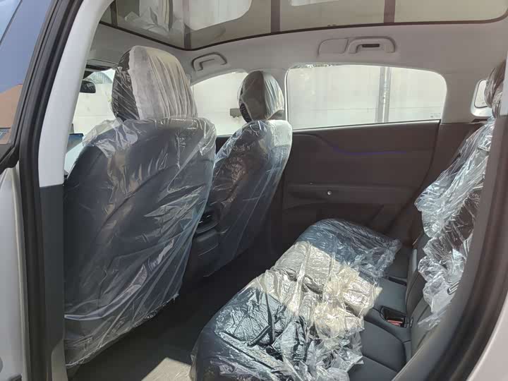 Фото 4 - XPeng G6