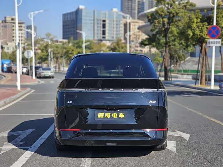 Фото 5 - XPeng X9