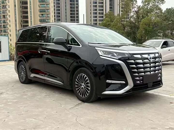 Фото 3 - Denza D9