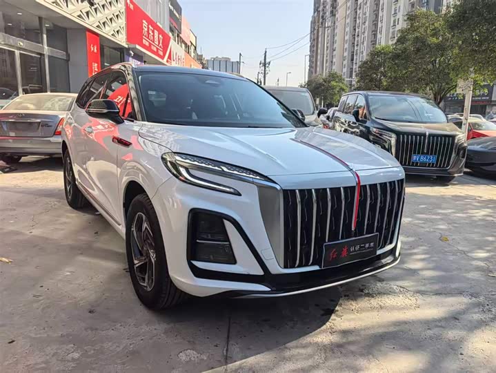 Фото 3 - Hongqi HS3