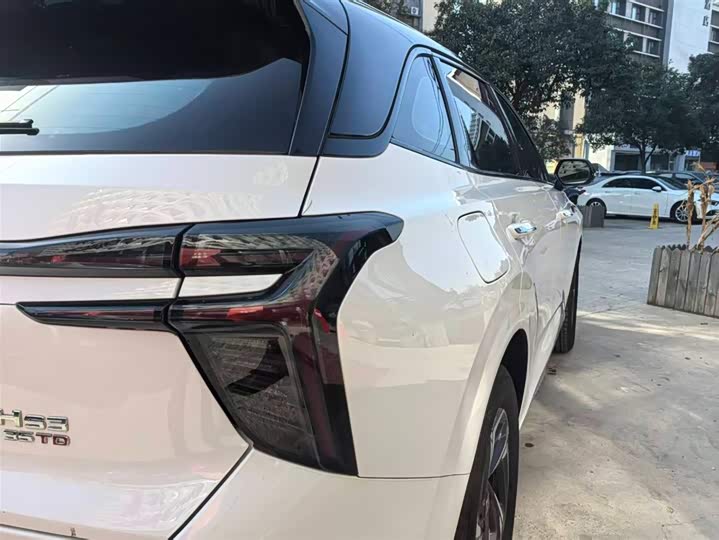 Фото 9 - Hongqi HS3