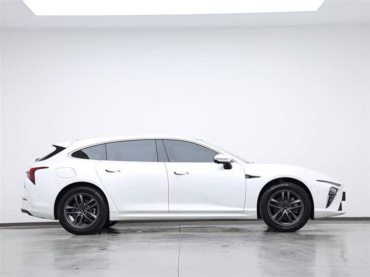 Фото 6 - Hozon S Hunting