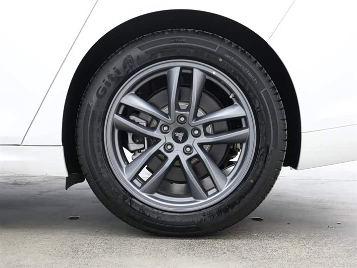 Фото 9 - Hozon S Hunting