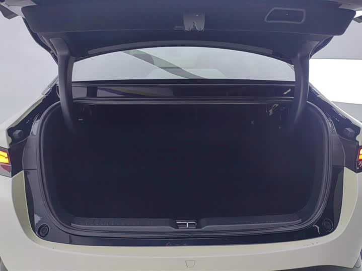 Фото 4 - XPeng P5