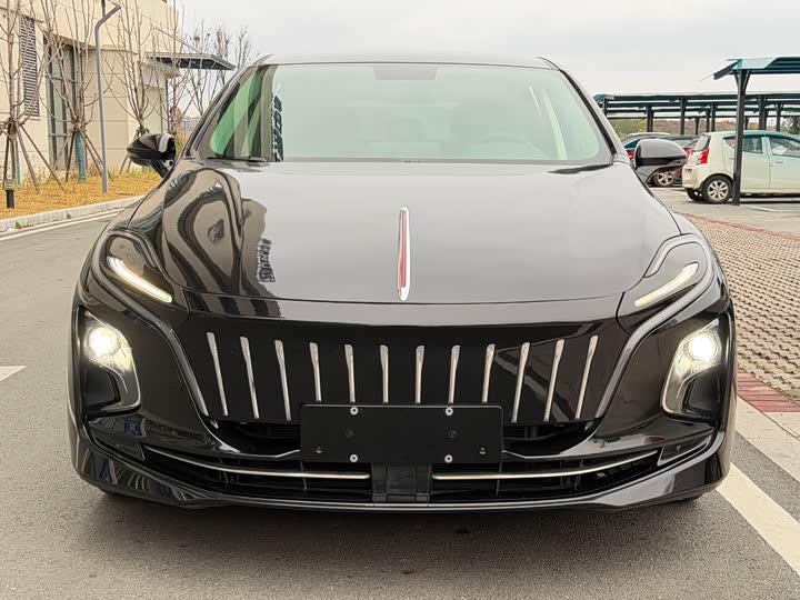 Фото 2 - Hongqi E-QM5