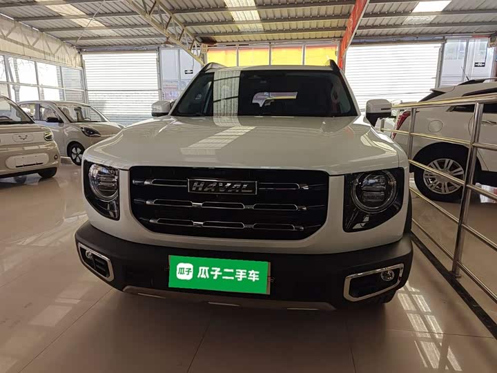 Фото 3 - Haval Dargo