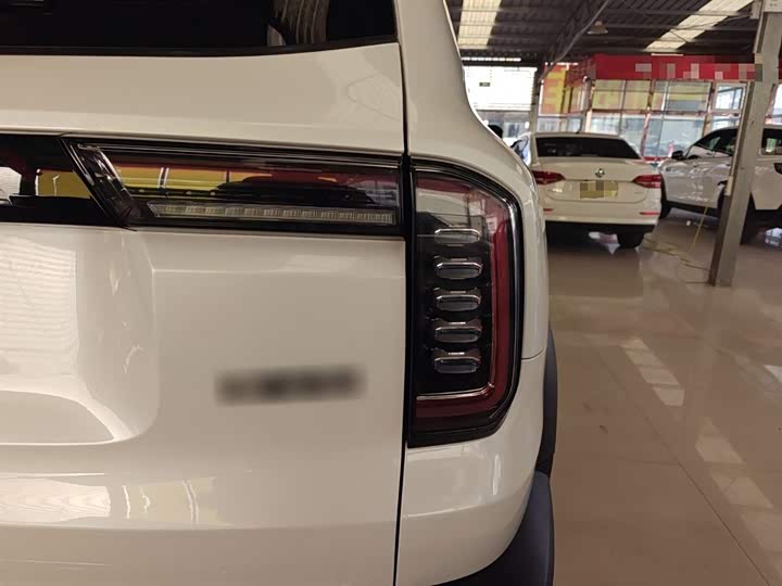 Фото 8 - Haval Dargo