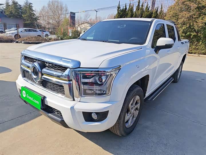 Фото 2 - Great Wall King Kong Poer