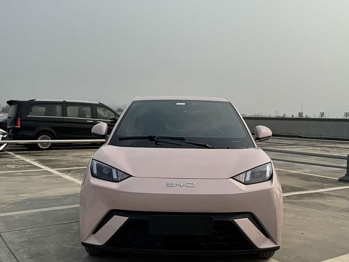 Фото 2 - BYD Seagull