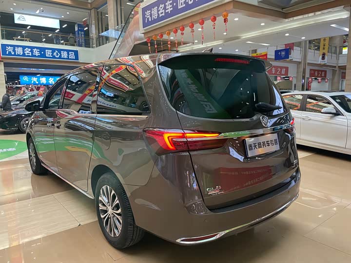 Фото 5 - Buick GL8 ES