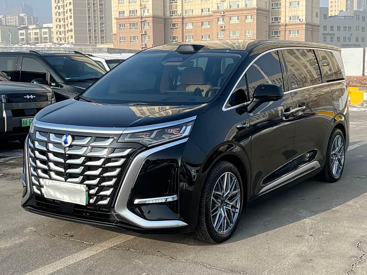 Фото 1 - Denza D9