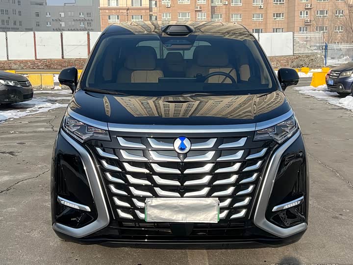 Фото 2 - Denza D9