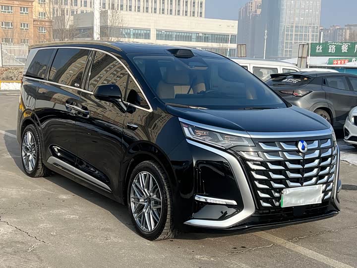 Фото 3 - Denza D9