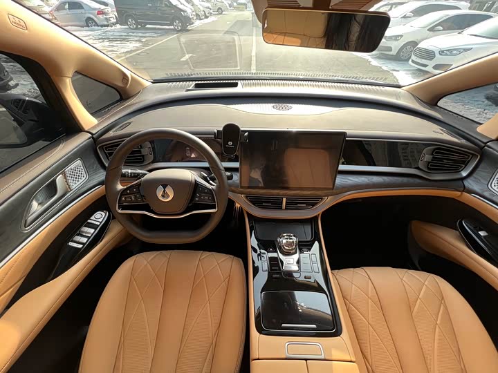 Фото 6 - Denza D9