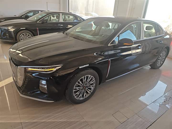 Фото 5 - Hongqi H5