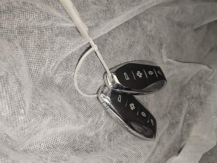 Фото 9 - Hongqi H5