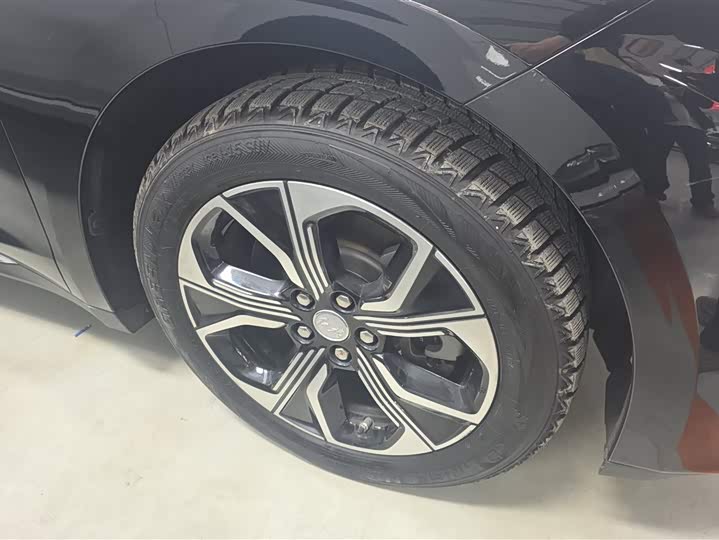 Фото 6 - Hongqi E-QM5