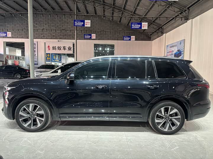 Фото 3 - LiXiang One