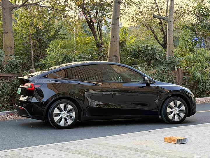 Фото 5 - Tesla Model Y