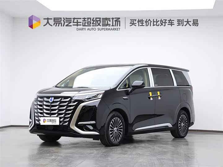 Фото 1 - Denza D9