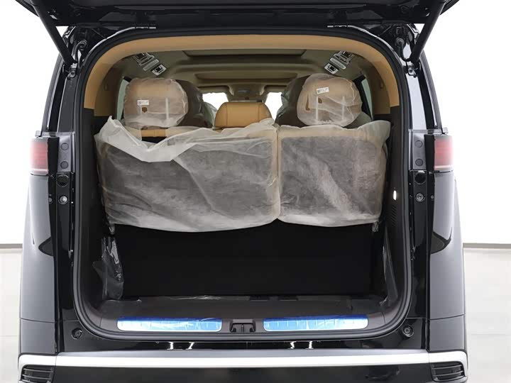 Фото 8 - Denza D9