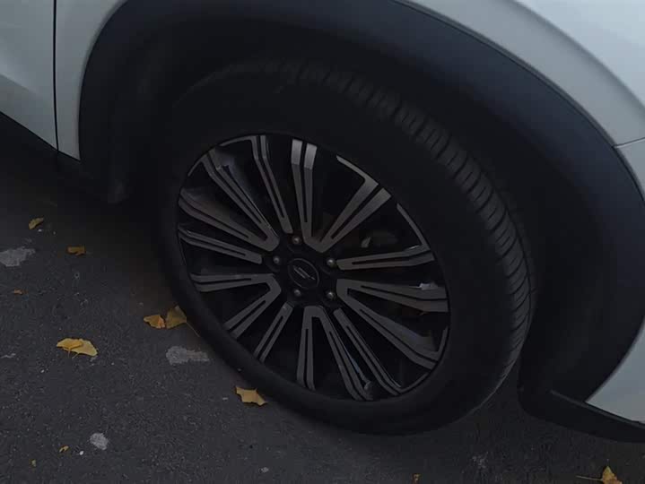 Фото 6 - Changan Oshan X5