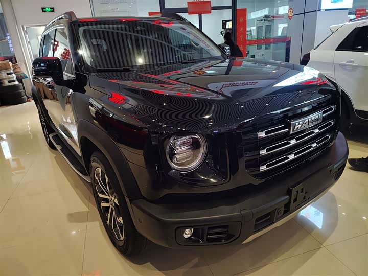 Фото 4 - Haval Dargo