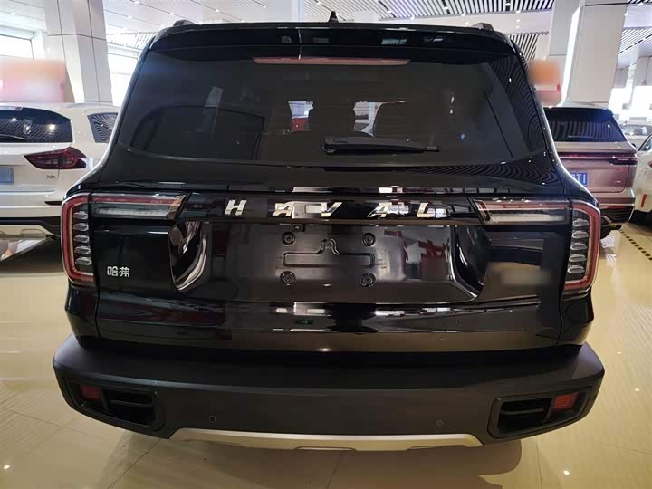 Фото 6 - Haval Dargo