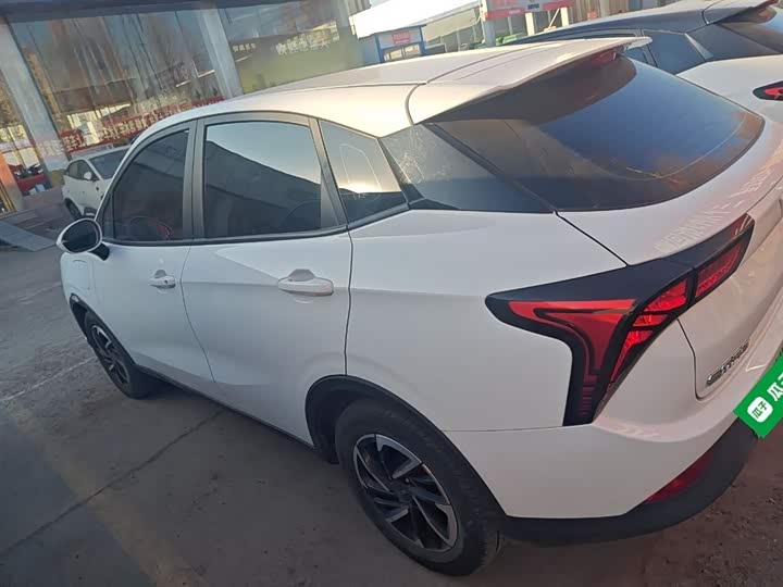 Фото 5 - Hozon V