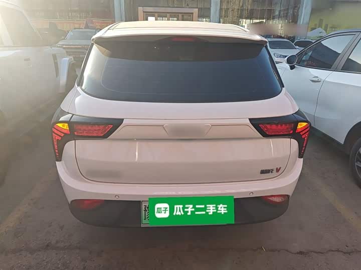 Фото 6 - Hozon V