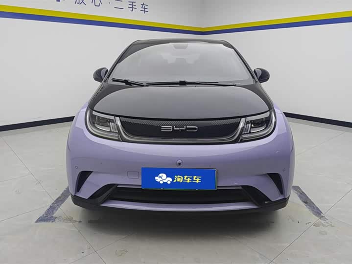 Фото 2 - BYD Dolphin