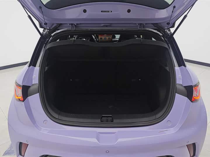 Фото 4 - BYD Dolphin