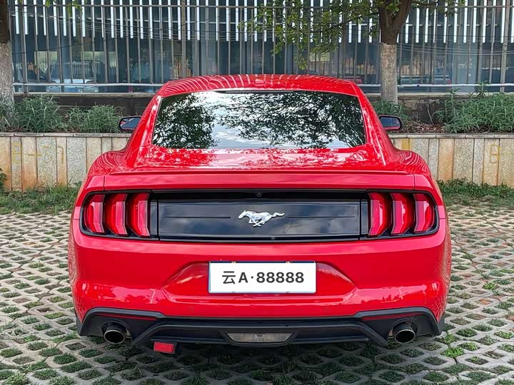Фото 5 - Ford Mustang