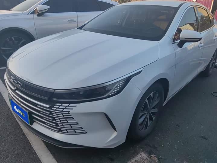 Фото 1 - BYD Destroyer 05