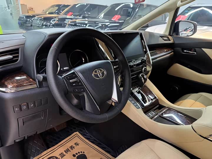 Фото 8 - Toyota Alphard