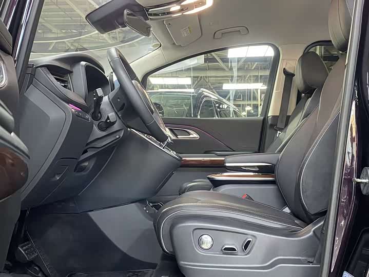 Фото 5 - Hongqi HQ9 Hybrid