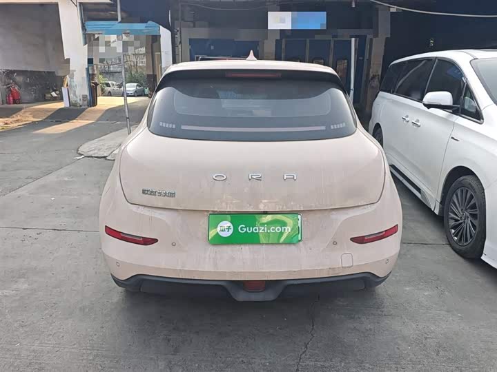 Фото 6 - Ora Good Cat (03)