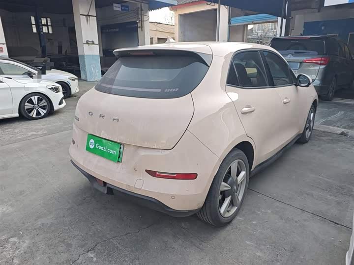 Фото 7 - Ora Good Cat (03)