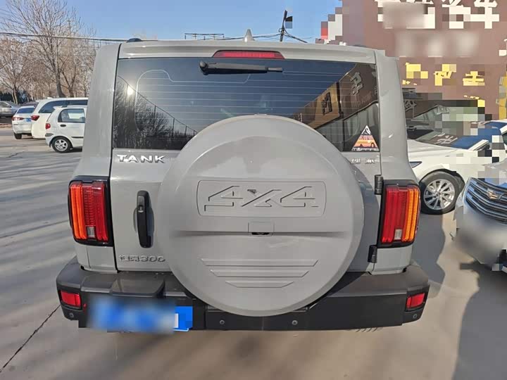 Фото 6 - Tank 300