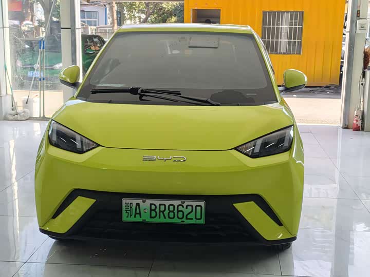 Фото 2 - BYD Seagull