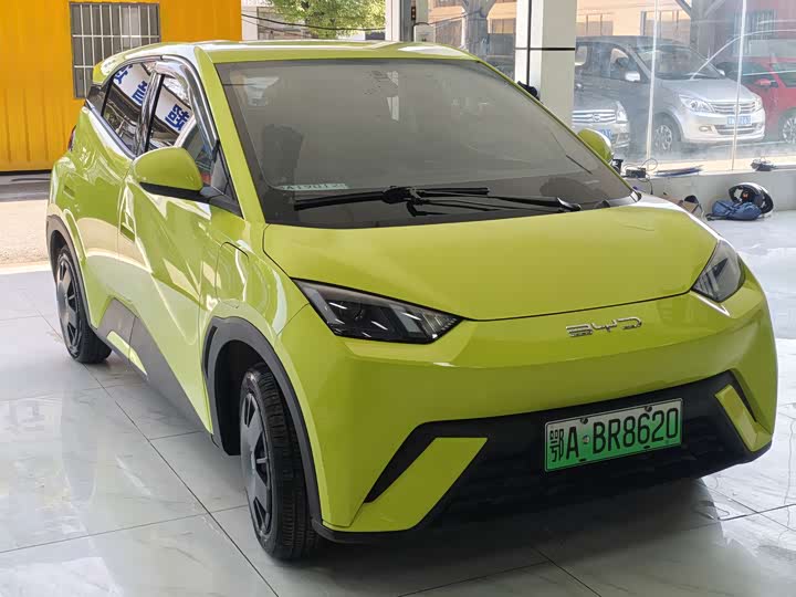 Фото 3 - BYD Seagull