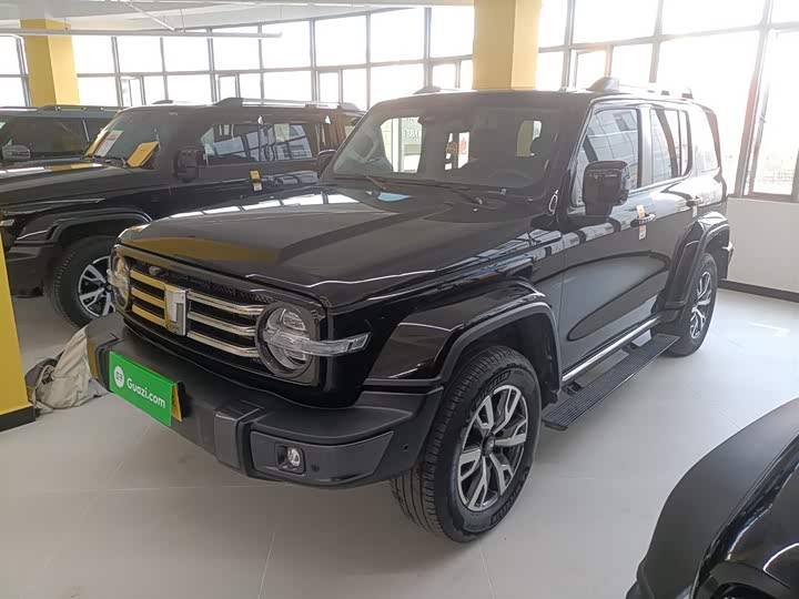 Фото 1 - Tank 300