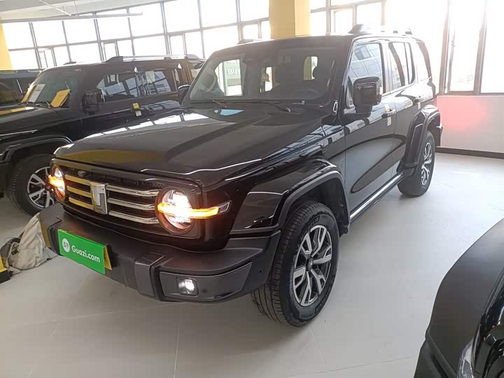 Фото 5 - Tank 300