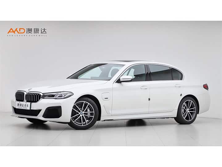 Фото 1 - BMW 5 Series Hybrid
