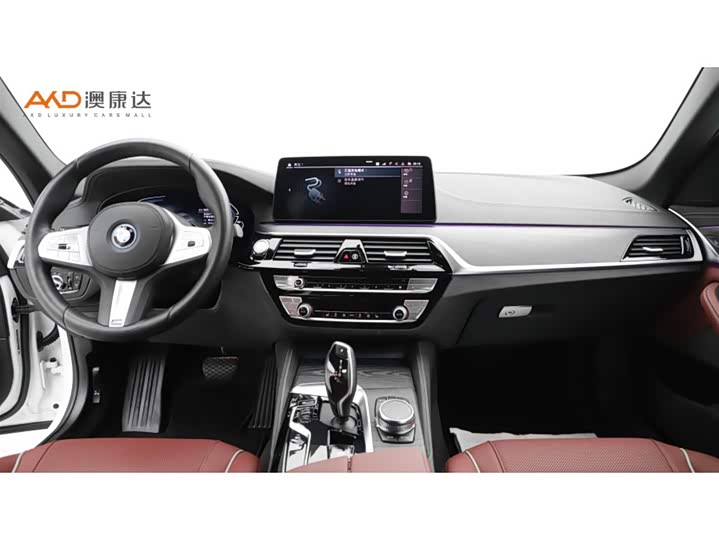 Фото 5 - BMW 5 Series Hybrid