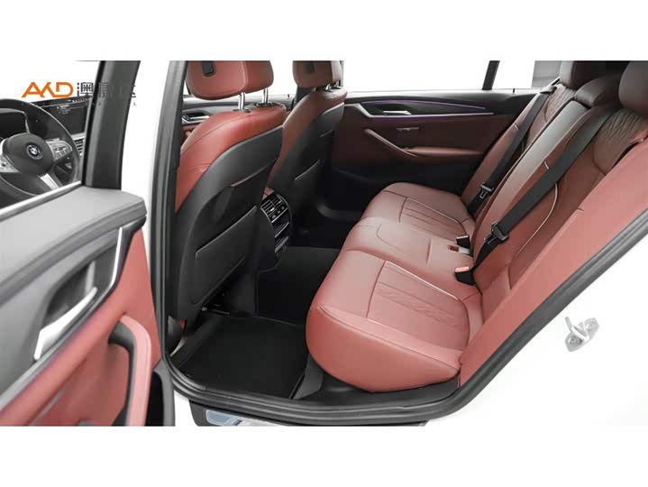 Фото 7 - BMW 5 Series Hybrid