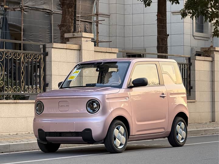 Фото 1 - Geely Galaxy Panda Mini